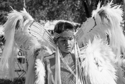 Tennessee State Intertribal Pow Wow