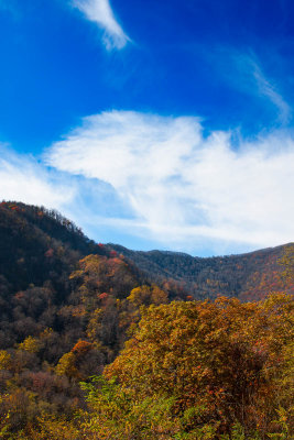 Smoky Mountain Fall