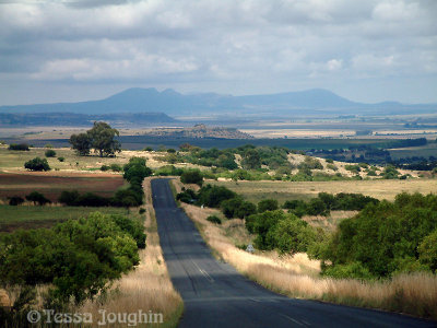 Road to Bloemfontein