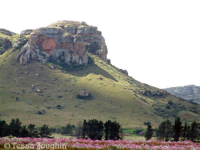 Cliffs and Cosmos on Sandstone Estates