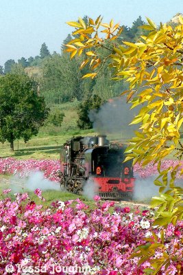 Steam! on Sandstone Estates