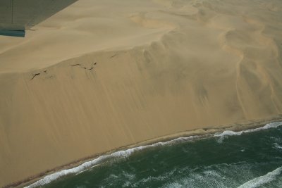 Dune Cliffs Right Up to the Water