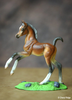 Gaiety resin foal CM by Georgia Haynes Wean USA