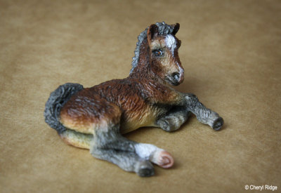 HA Pepys resin foal CM by Georgia Haynes Wean USA