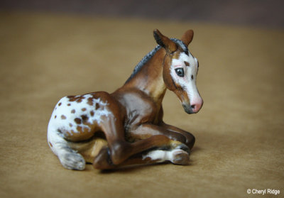 Very Little One resin foal CM by Georgia Haynes Wean USA