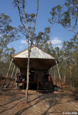 0522-mareeba-safari-tent.jpg