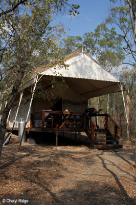 0523-mareeba-safari-tent.jpg