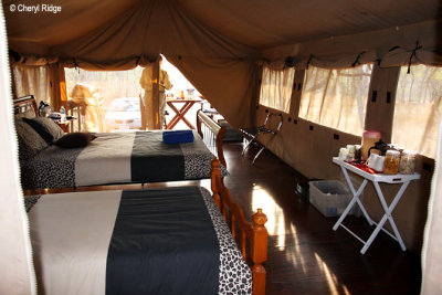 0563-mareeba-safari-tent.jpg