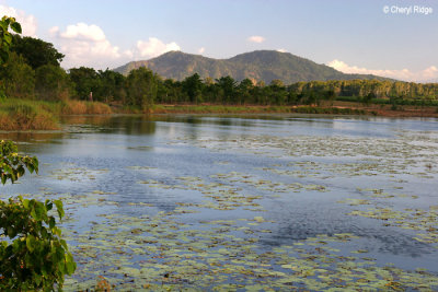 2240-cattana-wetlands.jpg