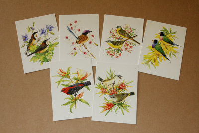 5160-chapter-one-greeting-cards-series6-sml.jpg
