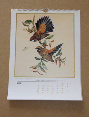 5165-calendar-1978.jpg