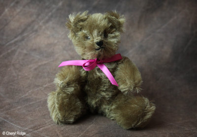 Bear made in Germany