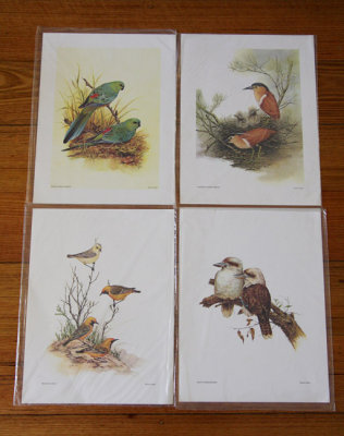 5674-deidre-bird-prints.jpg