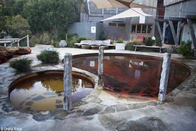 6154-springs.jpg