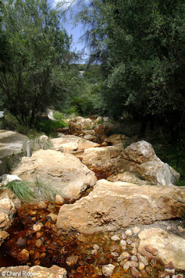 5719-springs.jpg