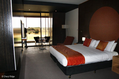 6072-moonah.jpg