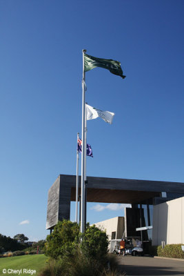 6251-moonah.jpg