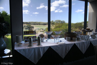 6256-moonah.jpg