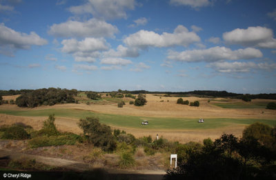 6276-moonah.jpg