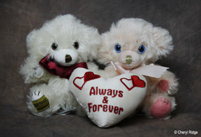 Merrythought micro Cheeky pair Always & Forever 2003
