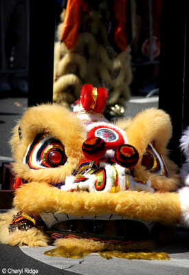 6302-cny-gw-lion.jpg