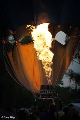 6685-balloons.jpg