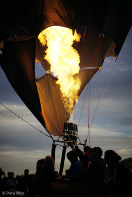 6869-balloons.jpg