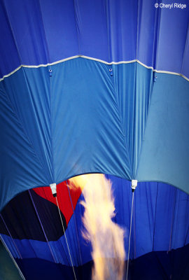 6876-balloons.jpg