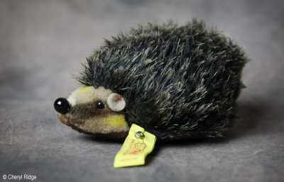 Steiff Joggi hedgehog 