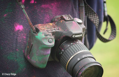 6776-holi-camera.jpg