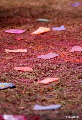 6948-holi-colour-packets.jpg