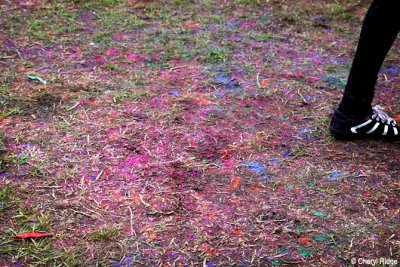 7094-holi-ground.jpg