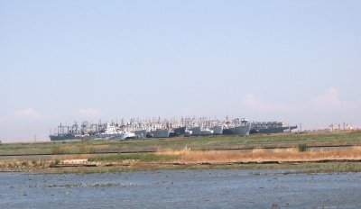 Ship Graveyard.jpg