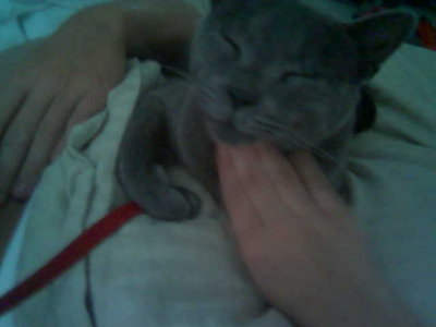 Image000.jpg