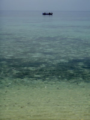 DSC036650.jpg