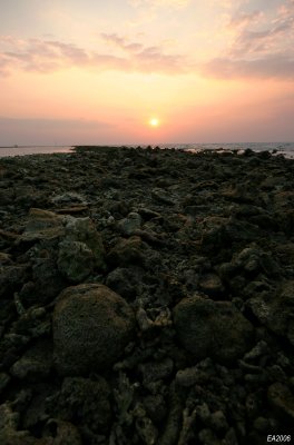 Morning beach rocks