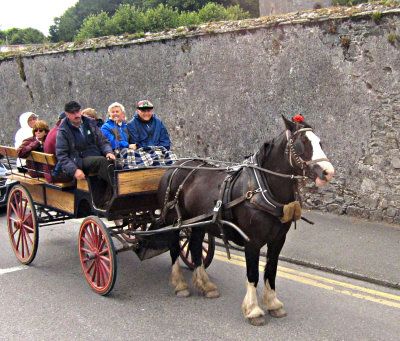 Horsecart in Derry