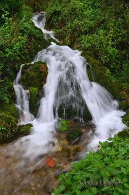 platanos__sitaina__kastanitsa__arcadia_