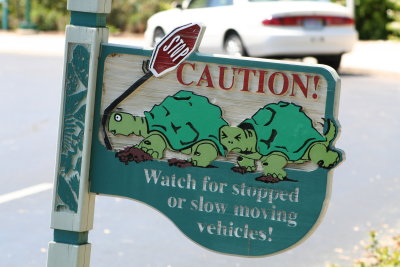 A cute sign in the parking lot.....I like turtles if you haven't figured that out by now.