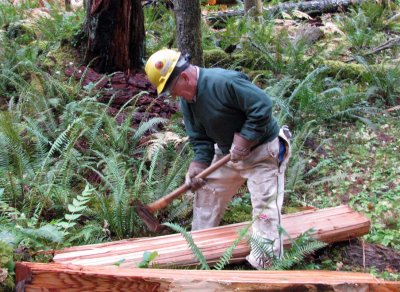 Cedar Planks 006f.jpg