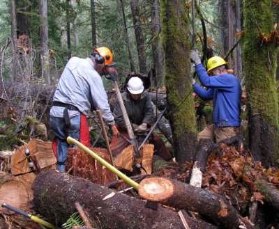 Cedar Planks 012l.jpg
