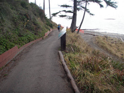 Combined Bluff Trail Looking Down 5