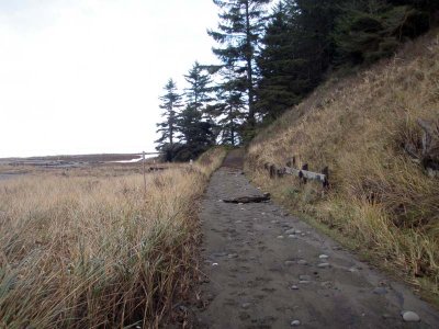 Baseof Bluff Beach Access Road from Anderson Road 1a
