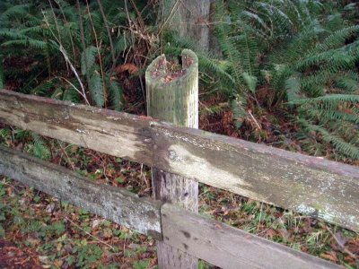 DNWR Fence Condition  Upland Pedestrian Trail 1t
