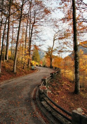 Linderhof Path