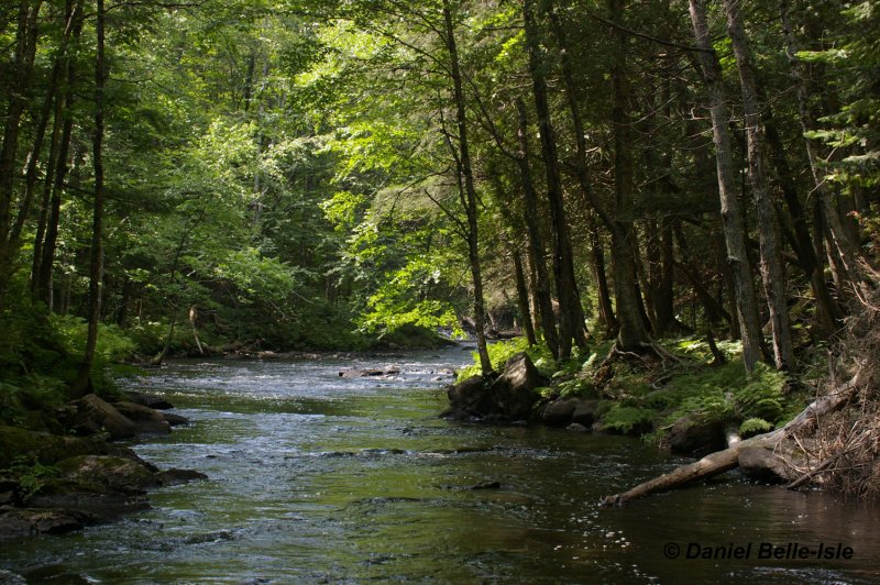 Ruisseau Petite Nation