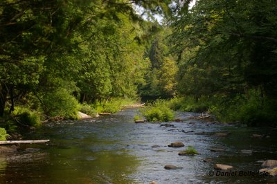 Ruisseau Petite Nation