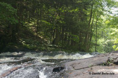 Ruisseau Petite Nation