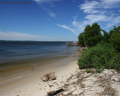 shore_0236.jpg