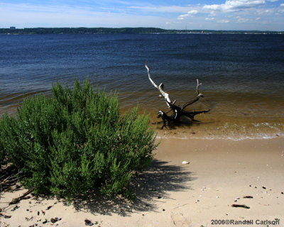 shore_0240.jpg
